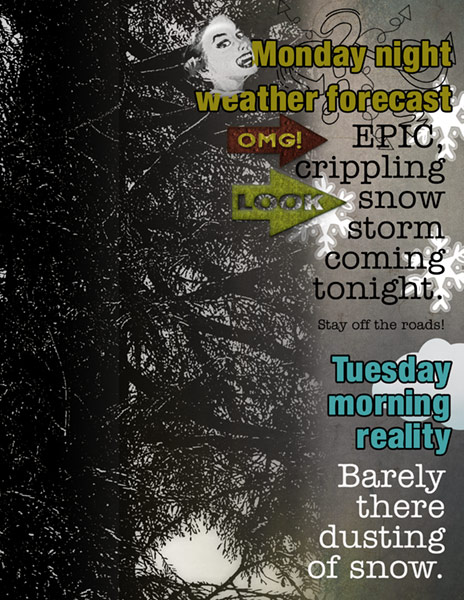 14-Photography Technique-Silhouette_Redwood-Weather Forecast