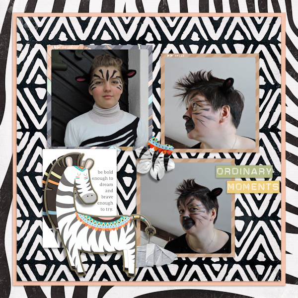 150213_zebra Mme