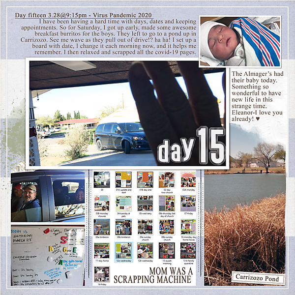 15a-SAT-mom-scrap-pond-copy