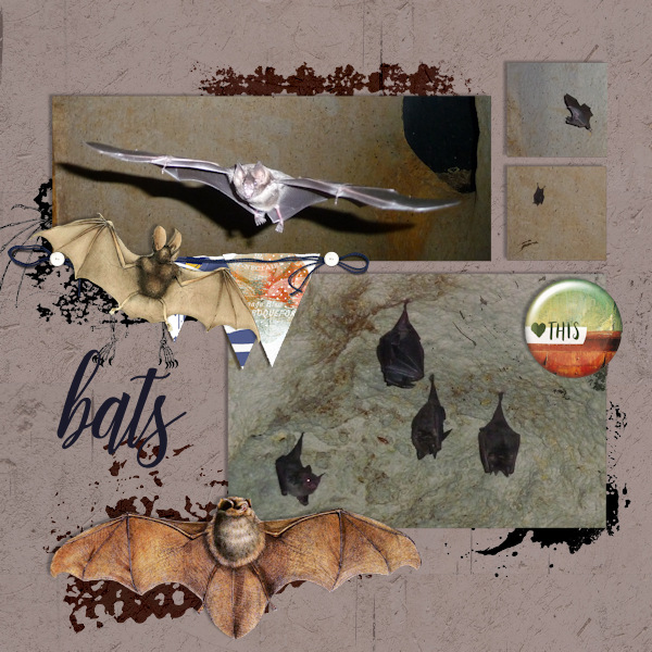 15oct_bats