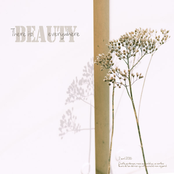 16-04 Beauty Everywhere