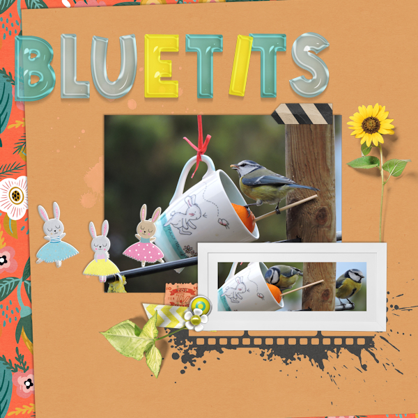160128_bluetits
