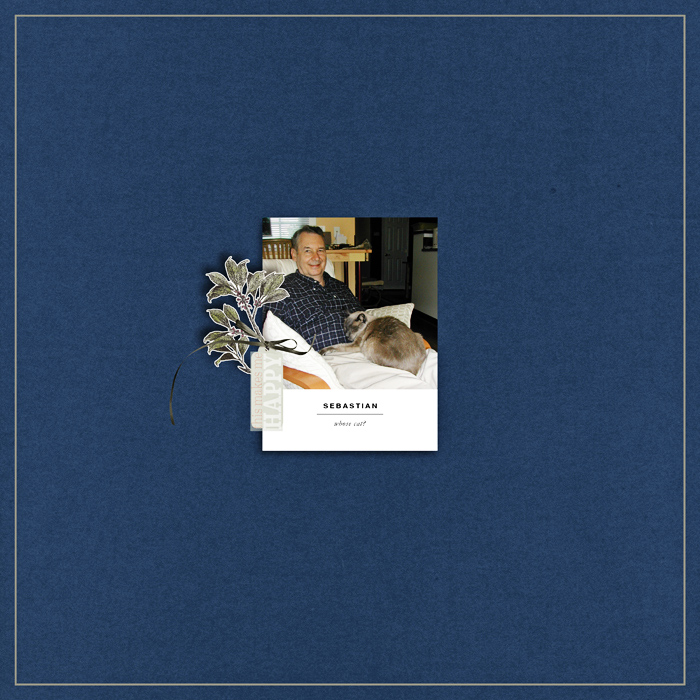 1609-Scraplift_Whose cat?