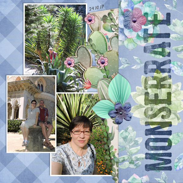 171024_Monserrate Plants