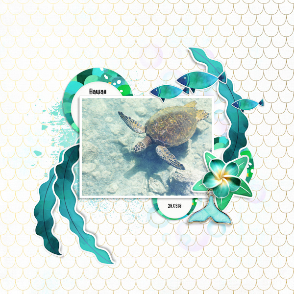 180328_turtle