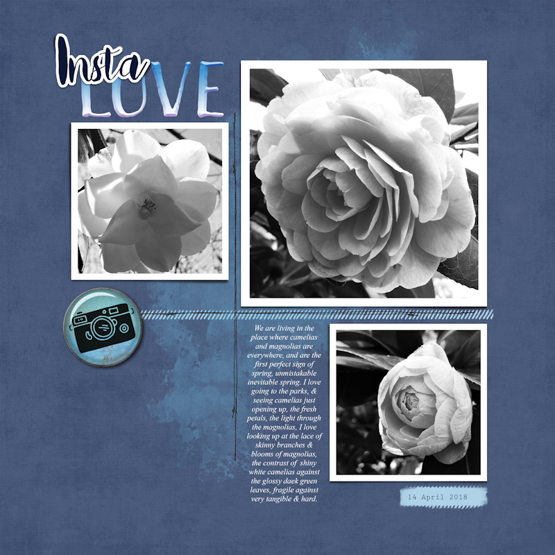 18apr14_camelia02