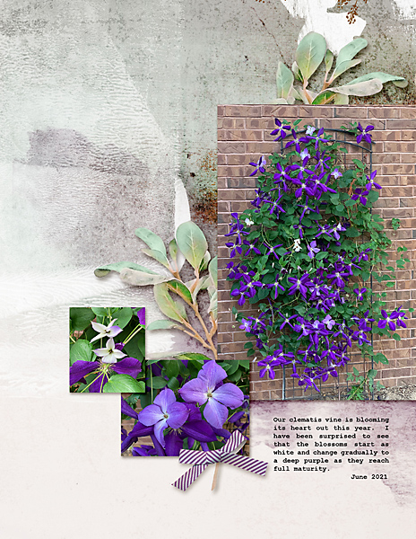 18June2021_SlowScrap_flowersgal_web