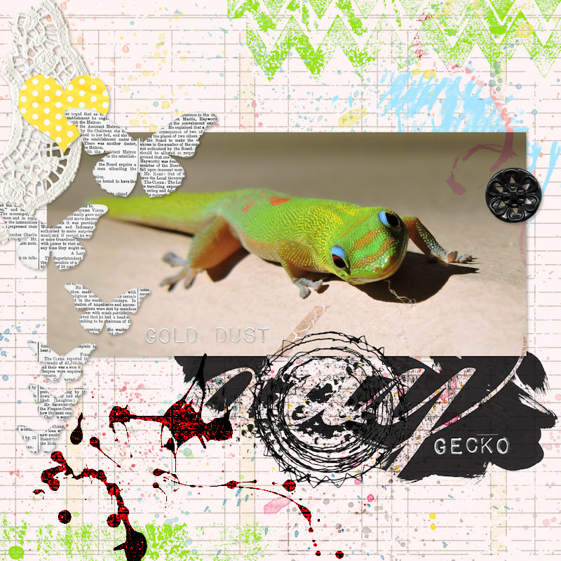 18mar28_gecko01