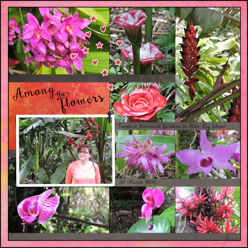 18mar_Hawaii Garden