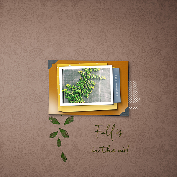 19-02_TLP_February-inspiration-Challenge-copy