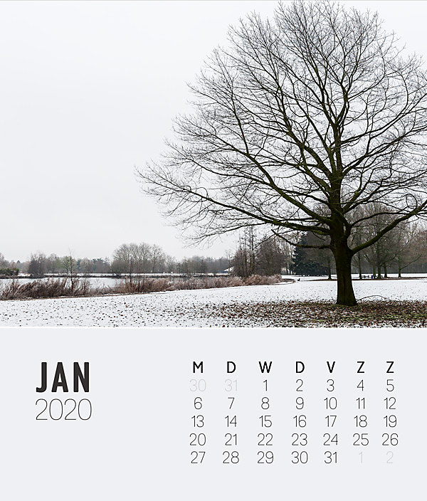 19-10_sc_cdcase2020_01januari-copy