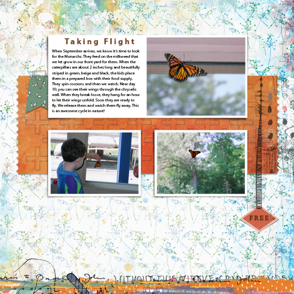 1992-09-02 Monarchs Web
