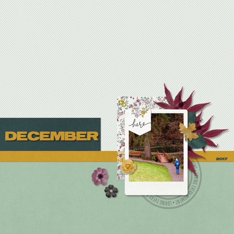 1of December 2017 - Right