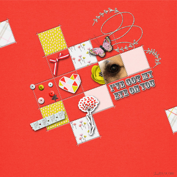 2-11onelittlebird_ivegotmyeyeonyou