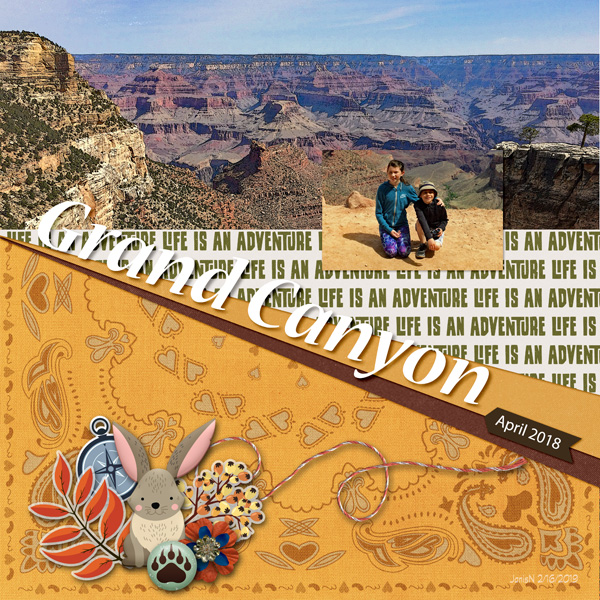2-15foreverjoy_grandcanyon