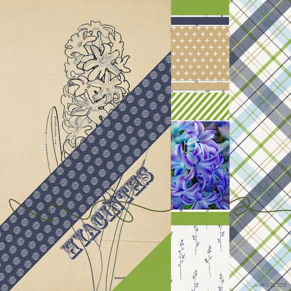2-23onelittlebird_hyacinths