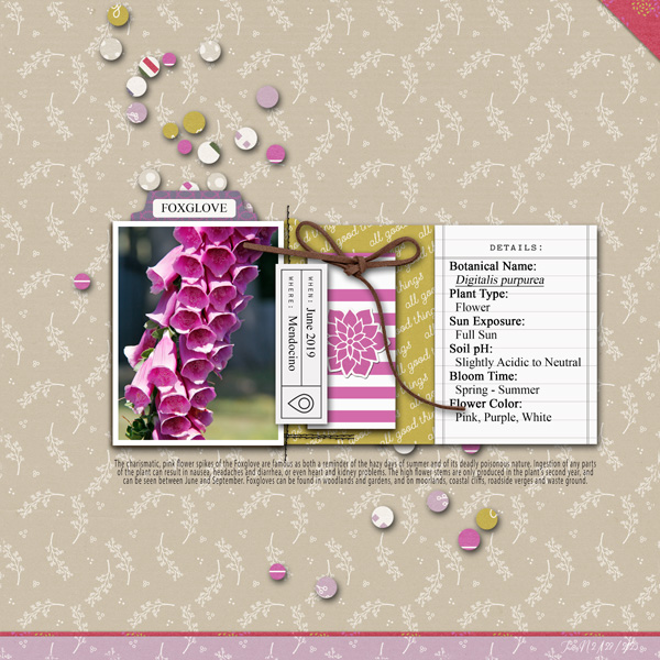 2-28_sgleason_foxglove