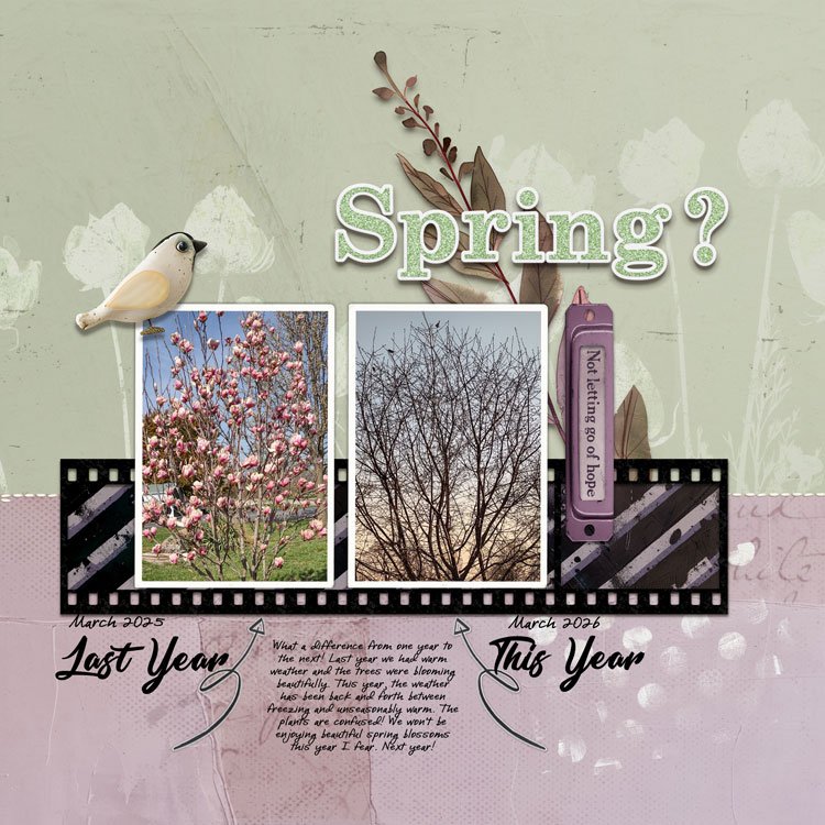 2-Springs.jpg