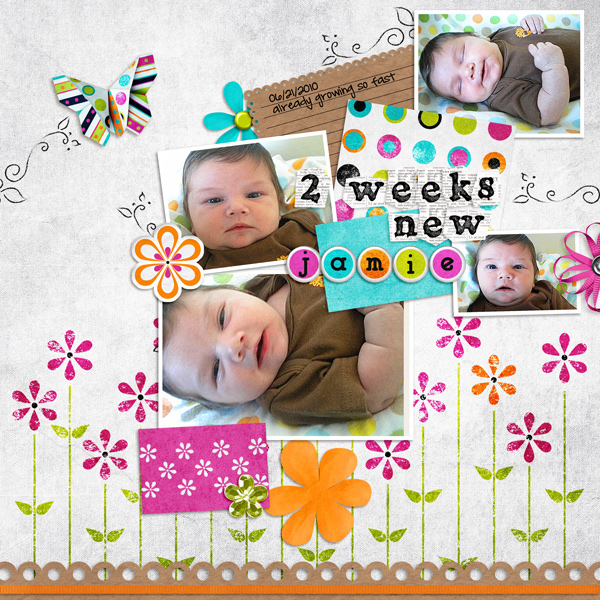 2 weeks new