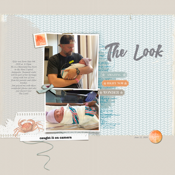 20--06-June-24-The-Look