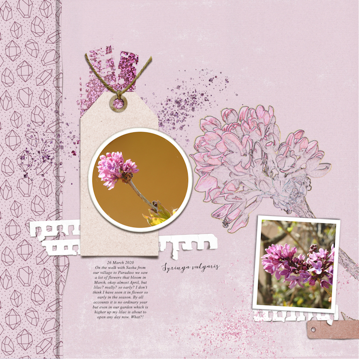 200326_lilac