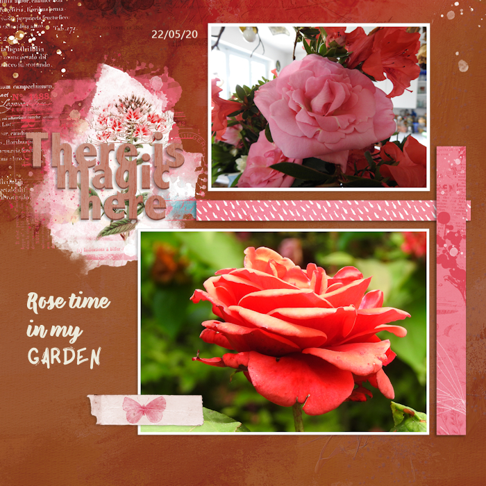 200522_roses