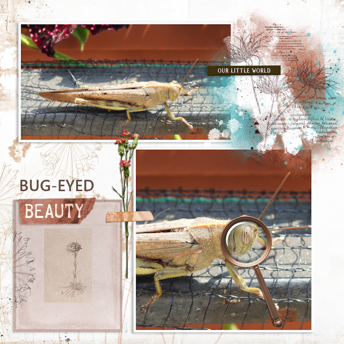 200523_bug
