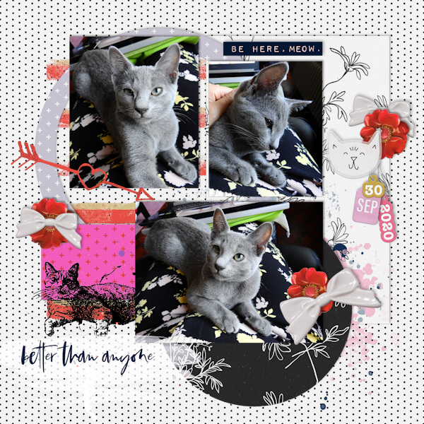 200930_kitty