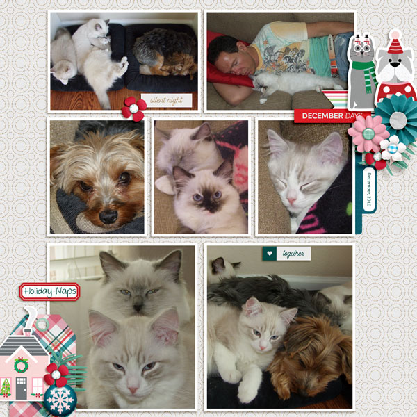 2010 Christmas Naps