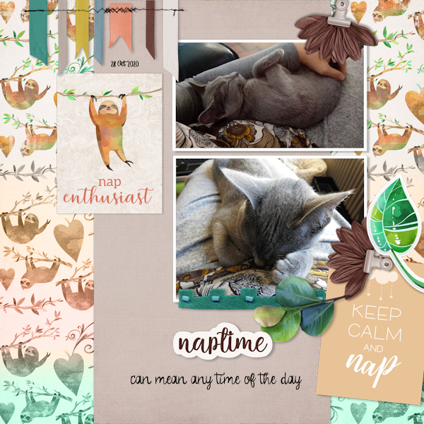 201028_cat Nap