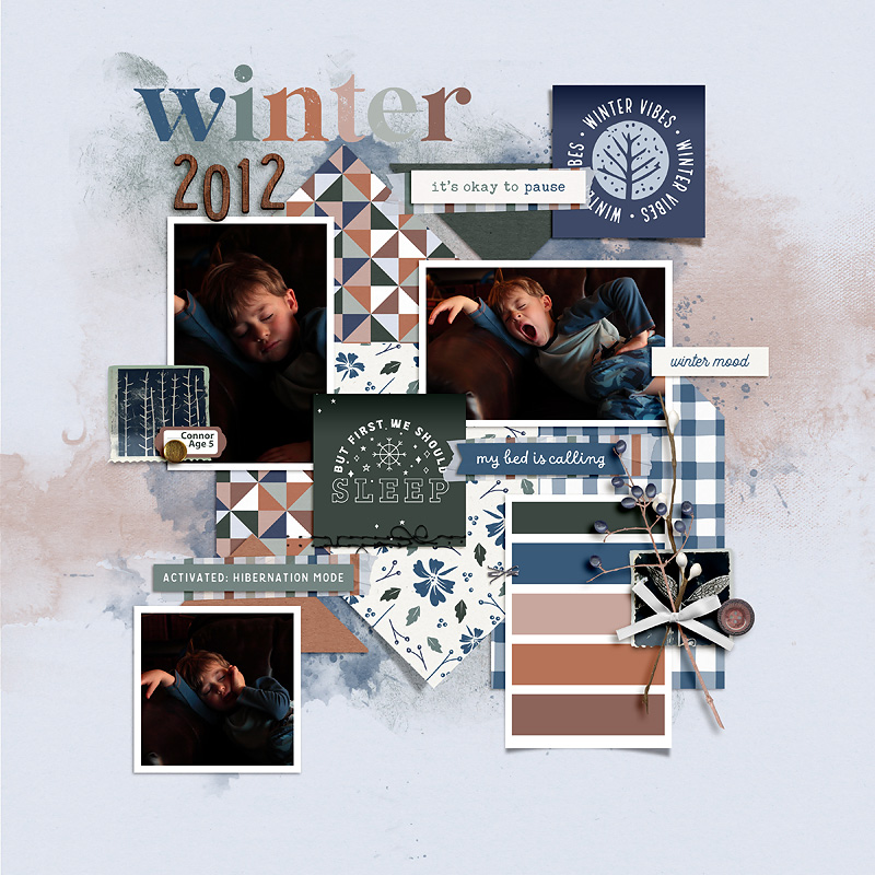 2012-Winter-Sleep