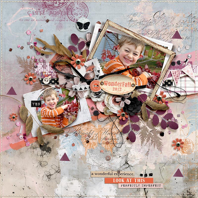 2012-WonderFall.jpg