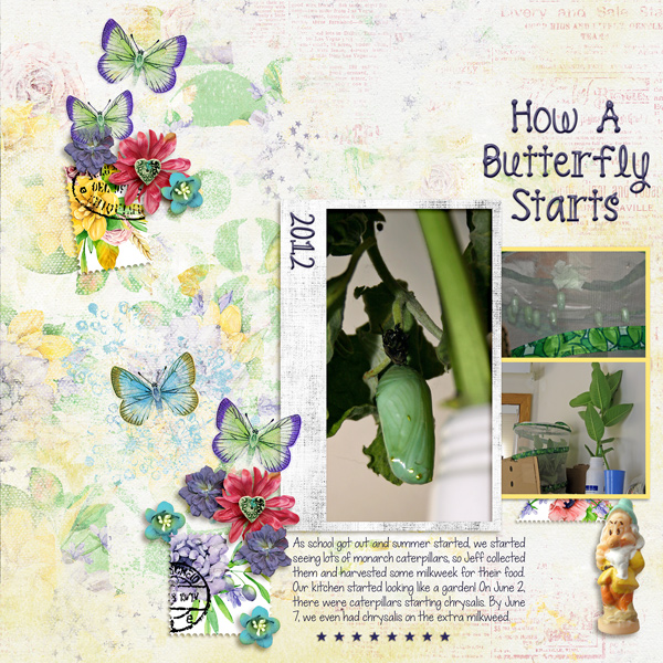 20120602 How a butterfly starts