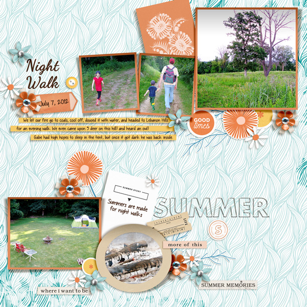 20120707 Summer Night Walk