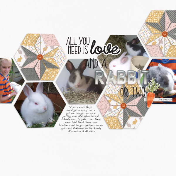 2013-01-11_Rabbit