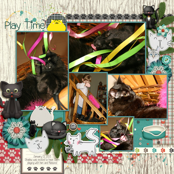 20130113 Play time