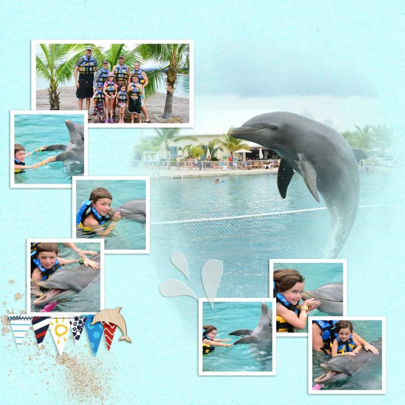 2014.10.30-Dolphins