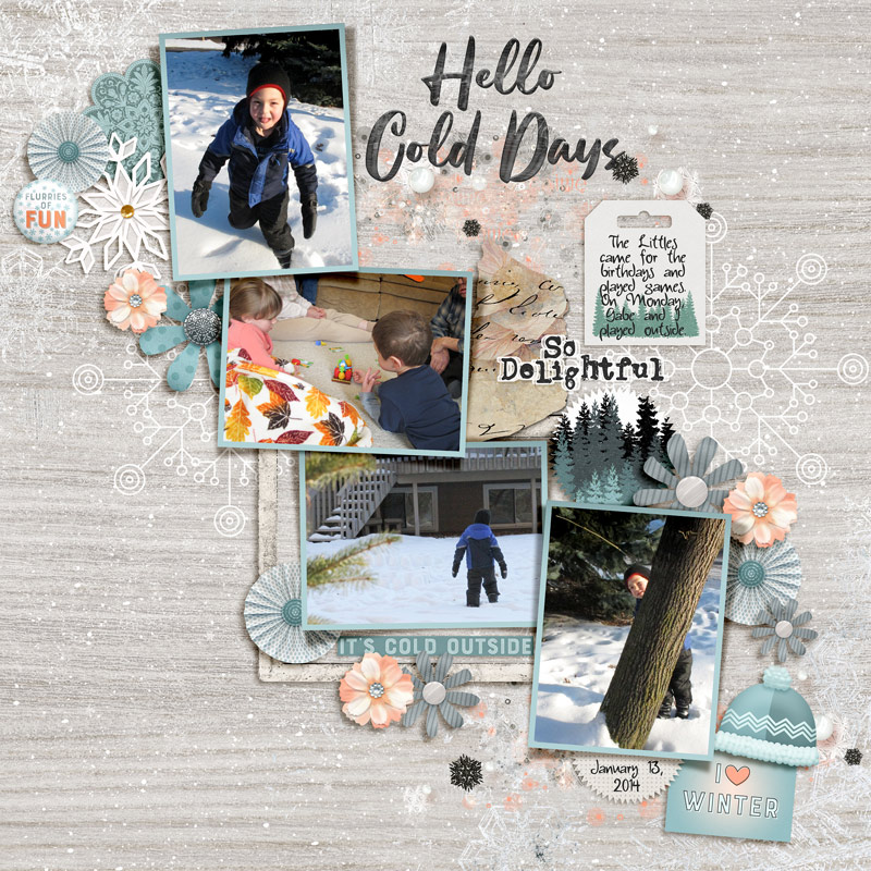 20140113 Hello Cold Days