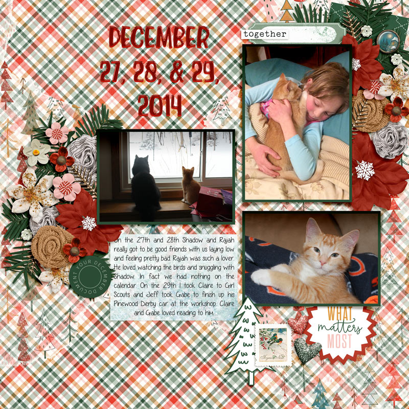 20141227-28-29-fdd_DecDets6_tp28