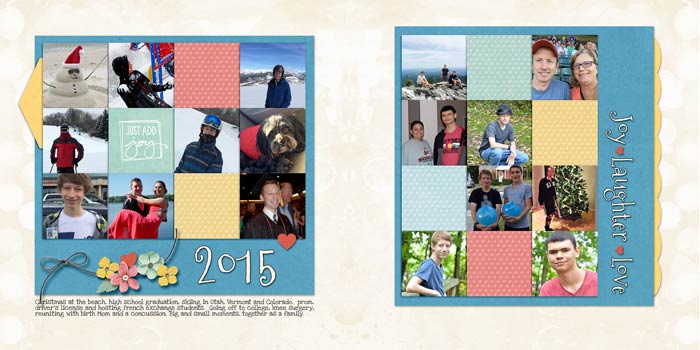 2015-In--Review-dbl-web