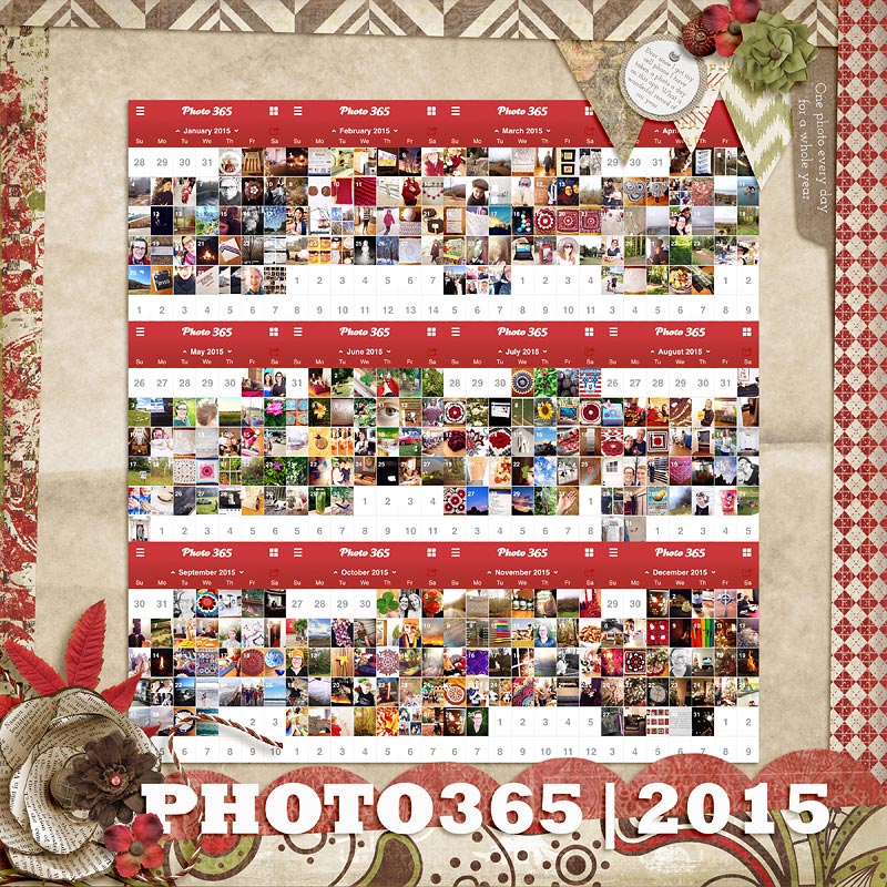 2015-in-review-WEB