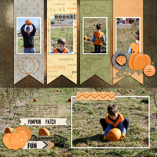 2015-Pumpkin-Patch-copy