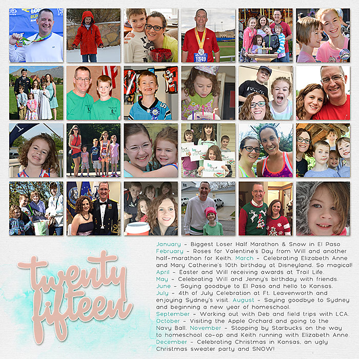 2015 Year in Review