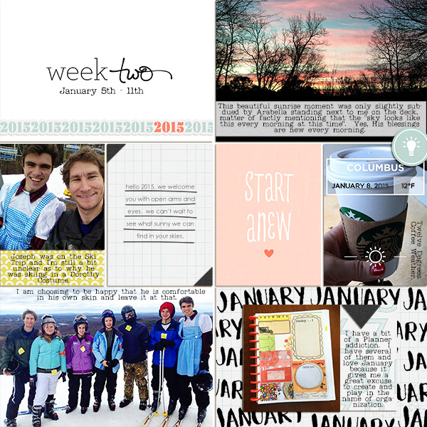 2015_PL_week2_1