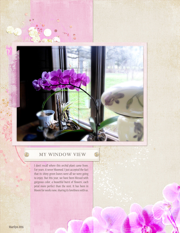 2016-04_April-TLP-Photography_web