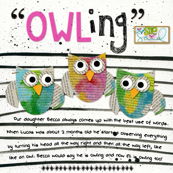 2016-9-13-owling-Recovered_600web