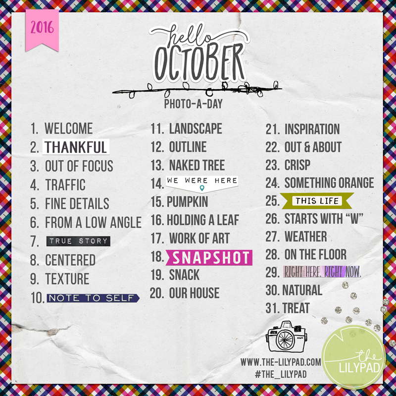 2016 | October Photo-a-Day
