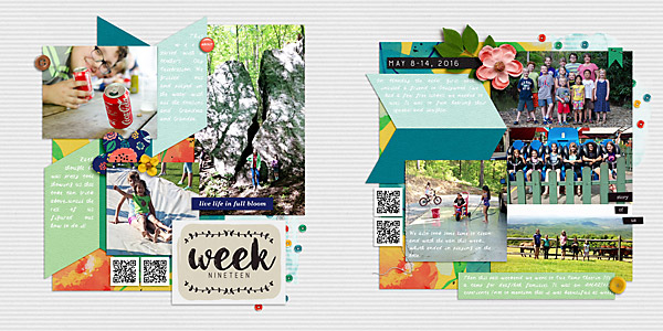 2016 Week 19