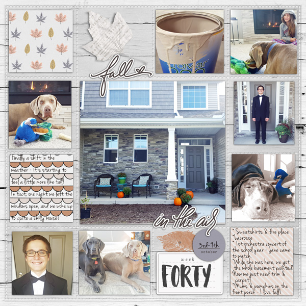 2016 Week 40
