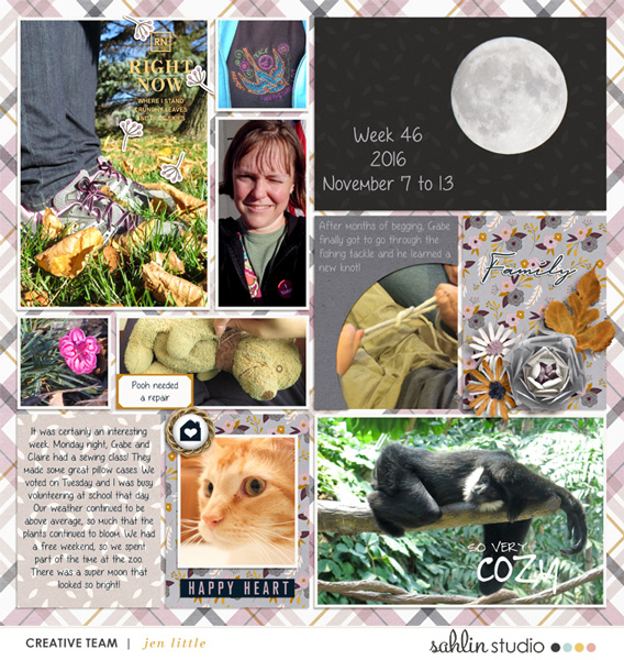 2016-Week-46-jjnov16-sahlin-byoc